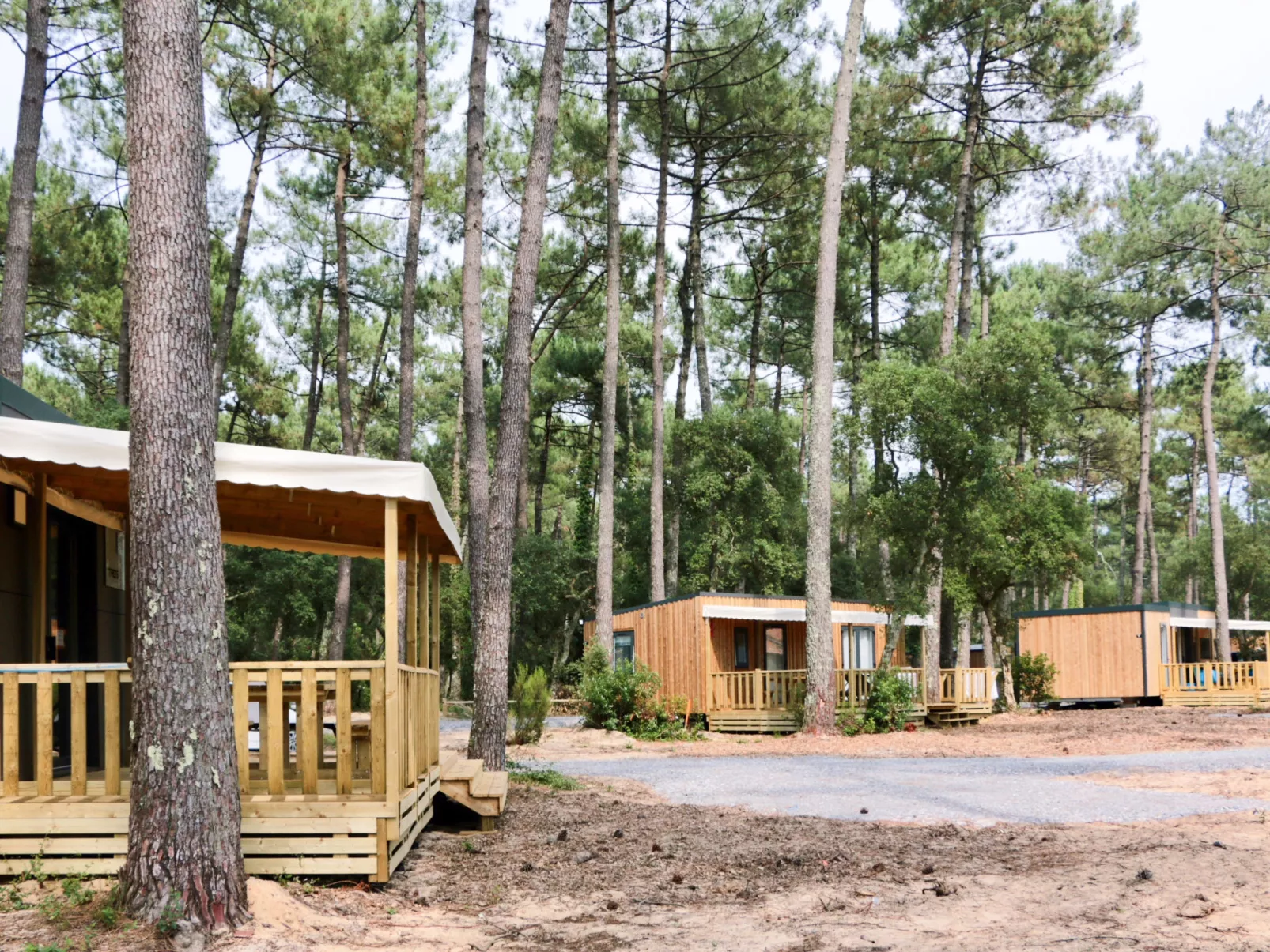 Premium Cocoon-Buiten