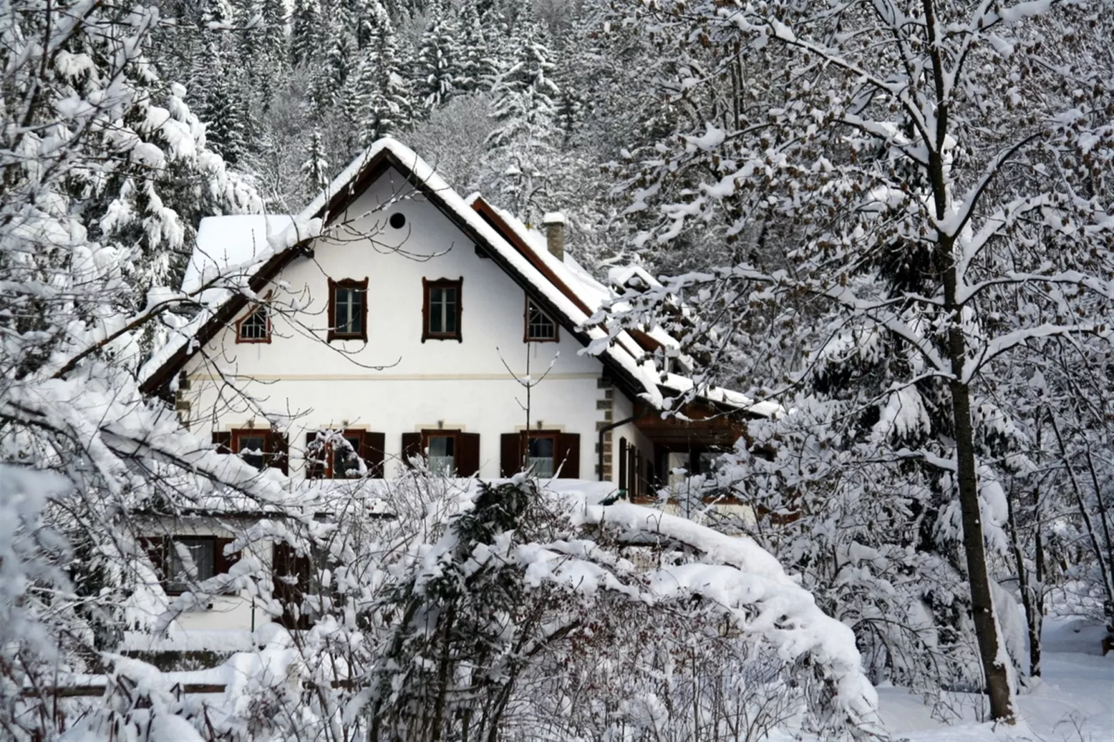 Haus Das kleine Paradies-Exterieur winter