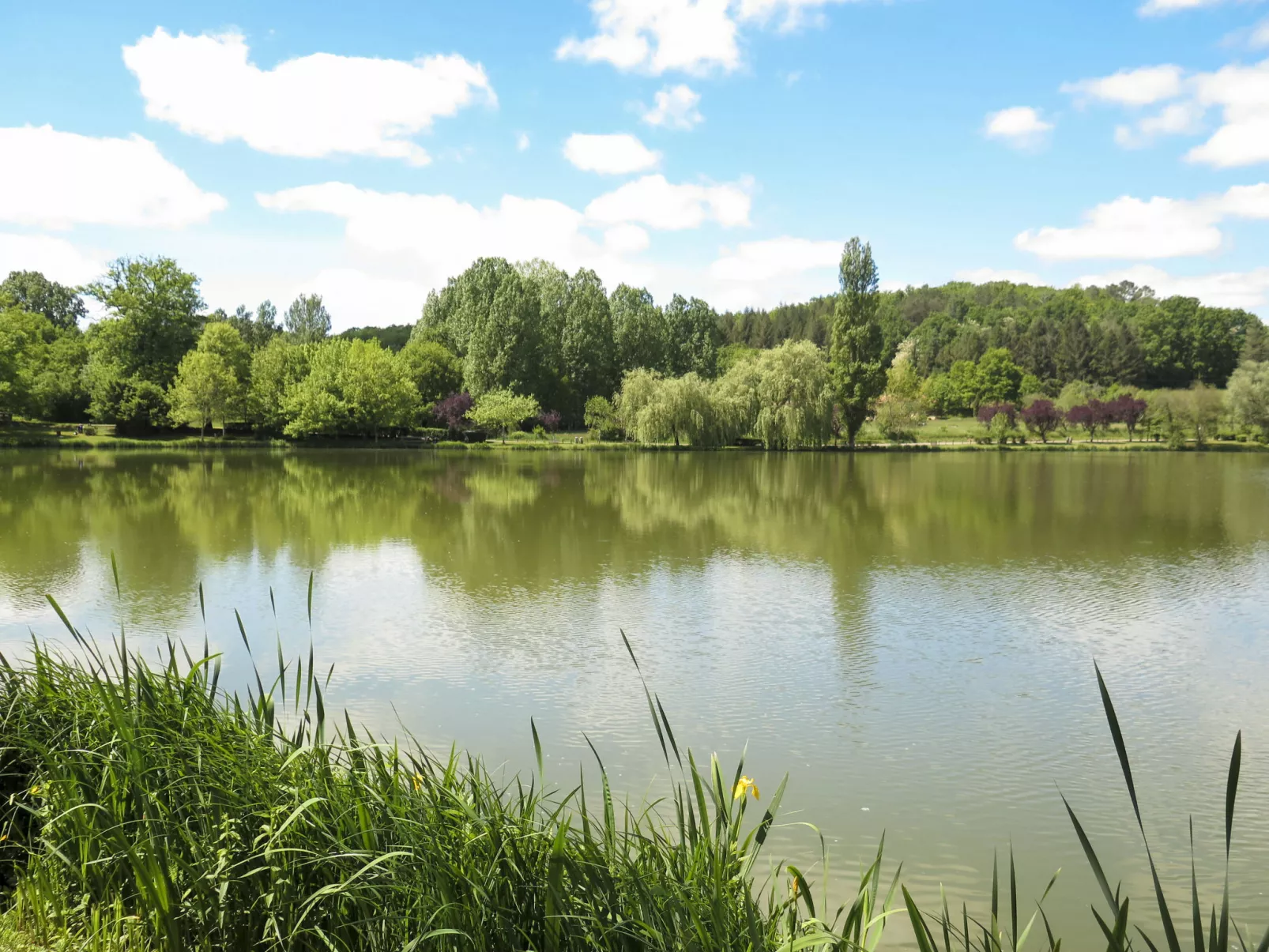 Le Champ du Lac-Omgeving