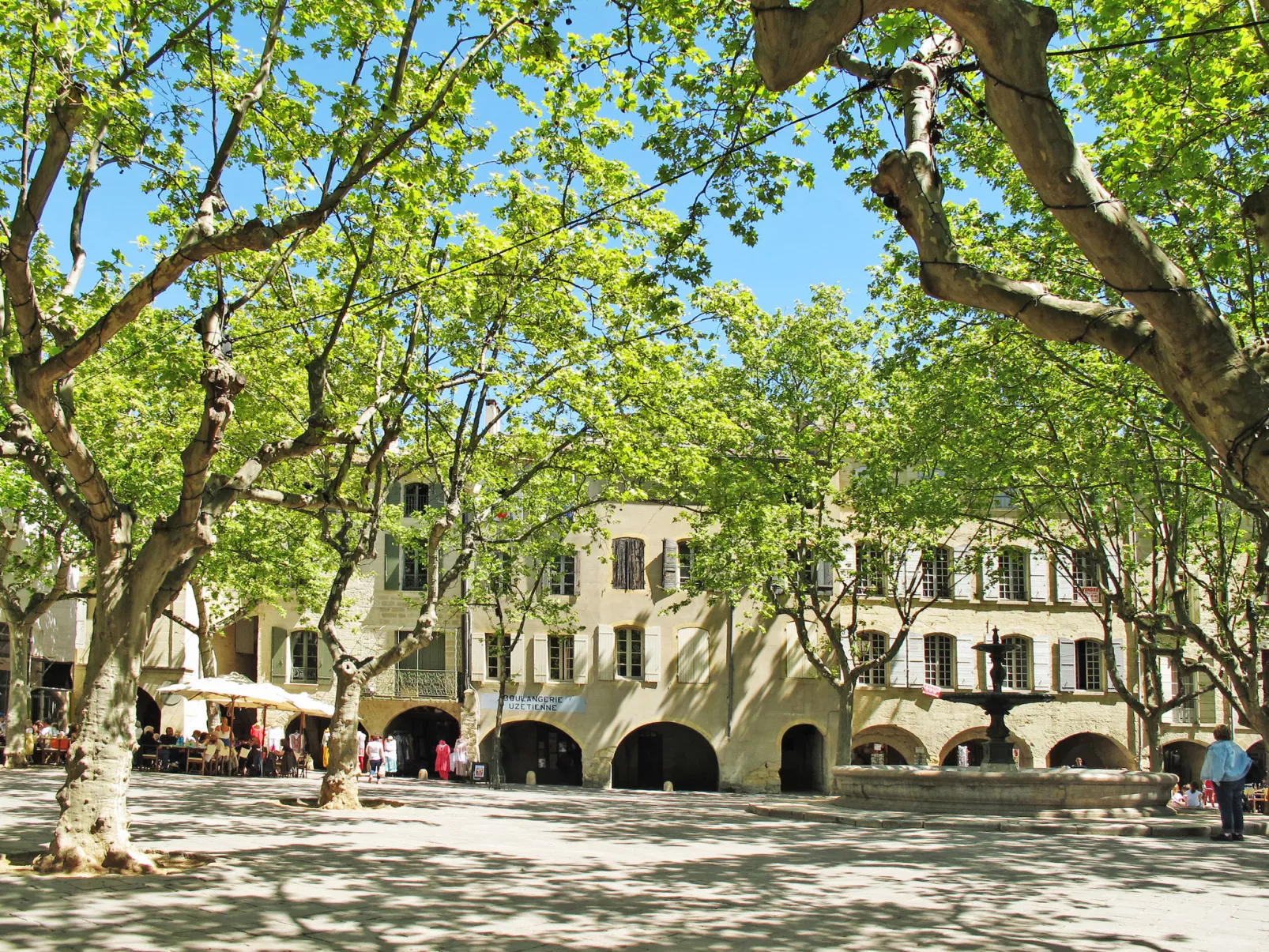 Arbre Bouteille-Omgeving