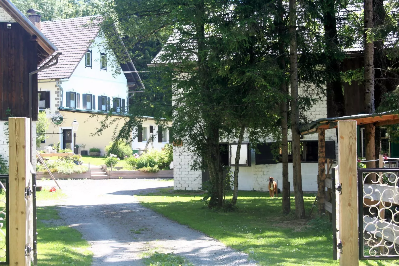 Apartment Das kleine Paradies-Buitenkant zomer