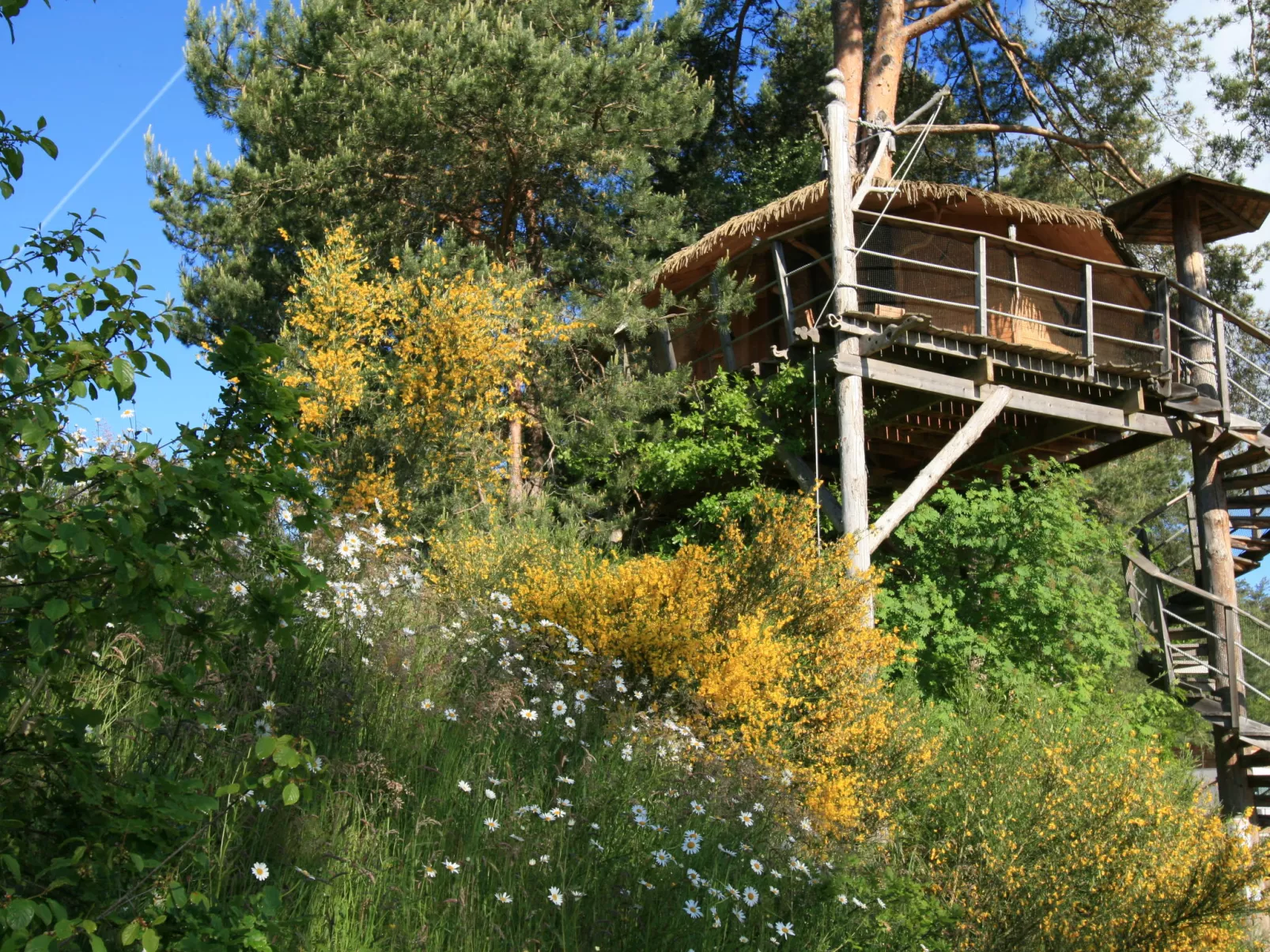 Domaine des Monédières - Chalet Lac 4-6-Buiten