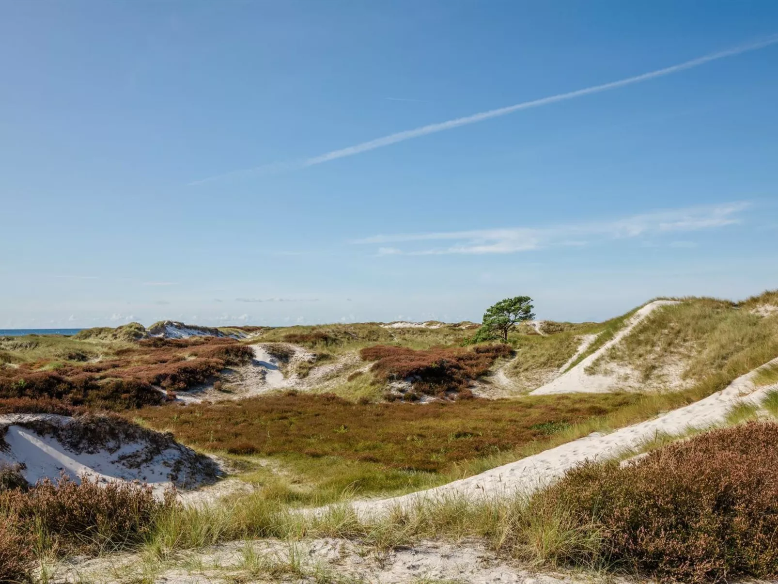 "Elza" - 800m from the sea-Binnen