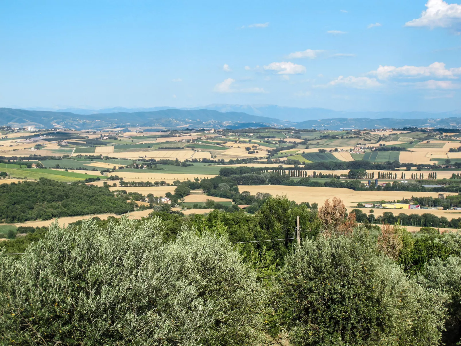 La Collina Fiorita-Buiten