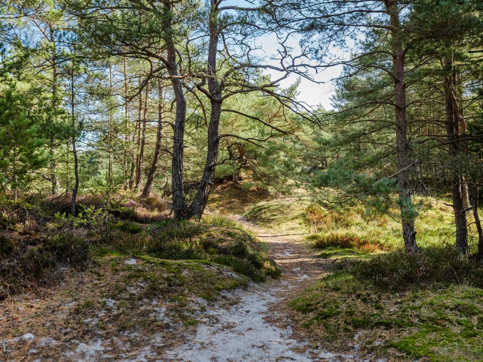 "Elza" - 800m from the sea-Buiten