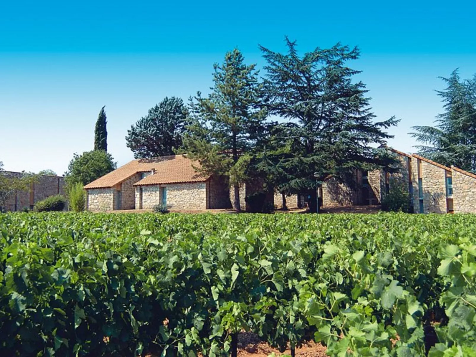 Domaine des Vans-Buiten