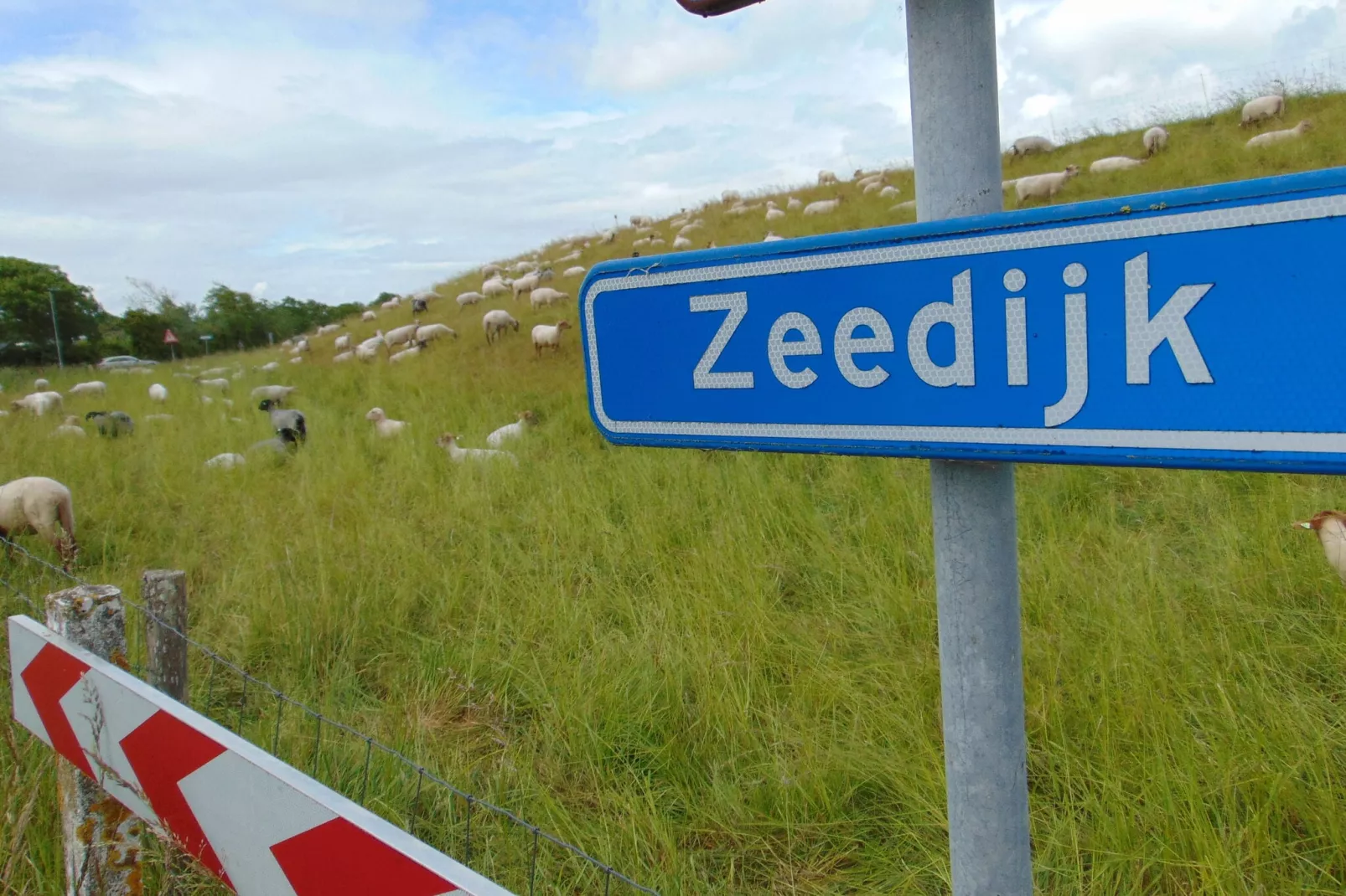 't Verzetje-Gebieden zomer 1km