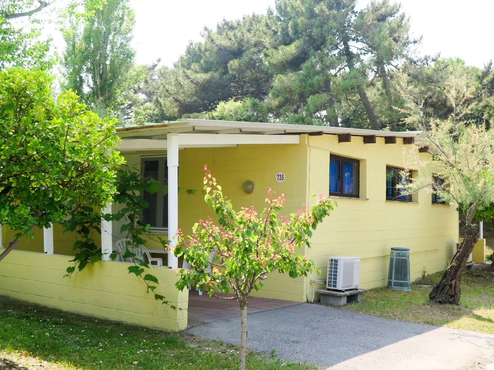Rosapineta Sud-Buiten
