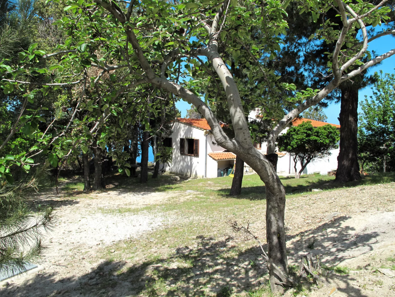Ciuffini-Buiten