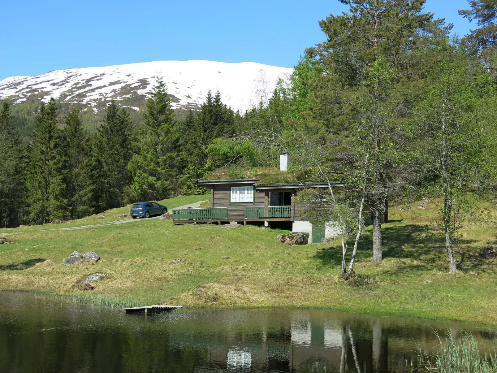 Fjellro (FJS103)-Buiten