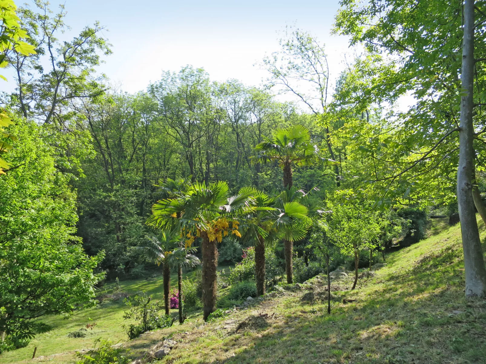 Casa nel Bosco-Buiten