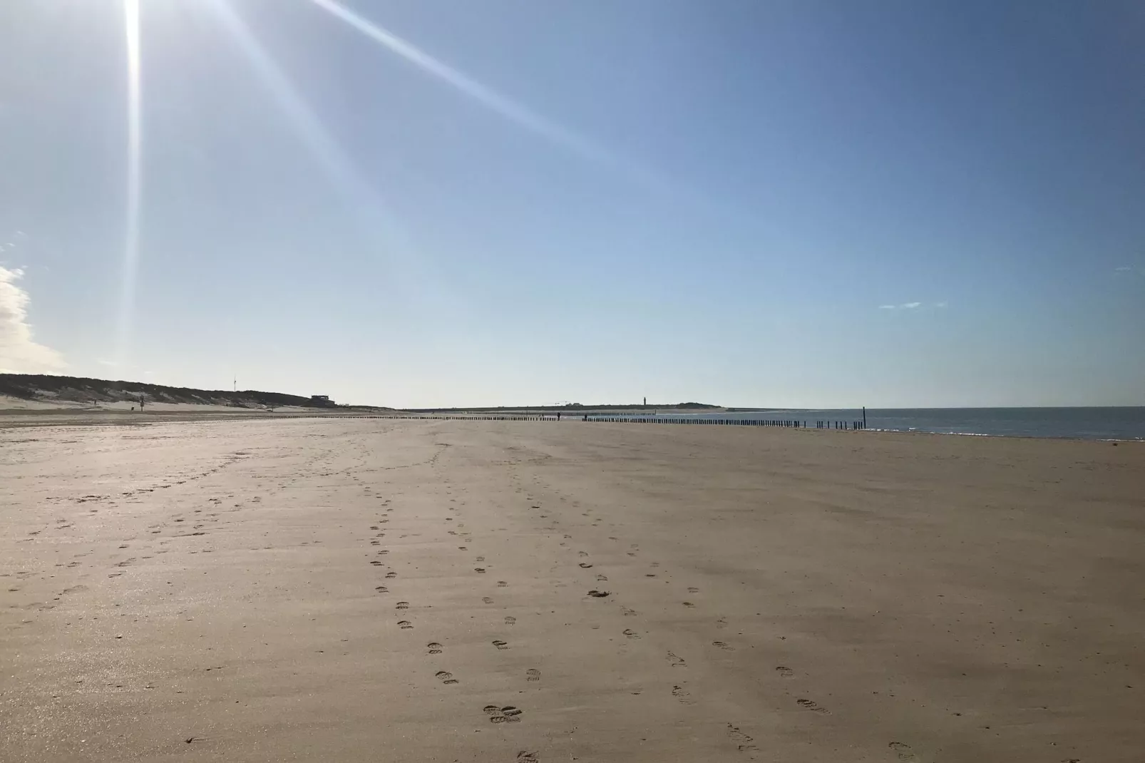 Lepelblad 44-Gebieden zomer 1km