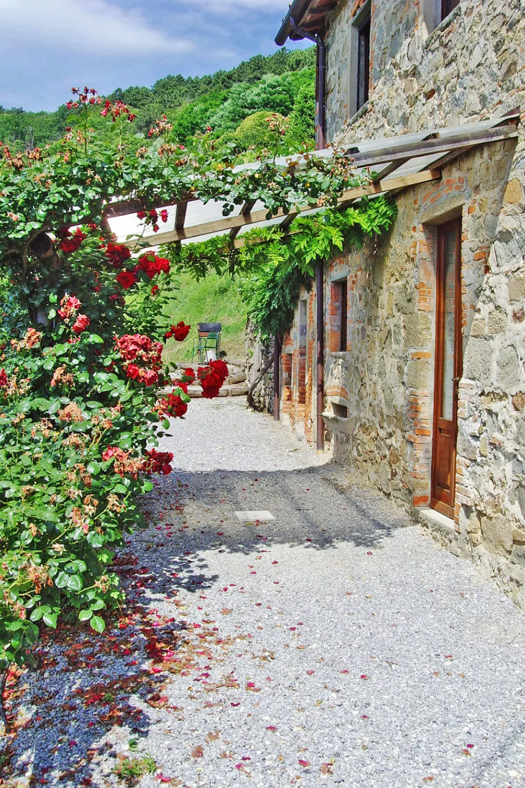 Podere Cima a Zano /Apt. Tinaia-Buiten