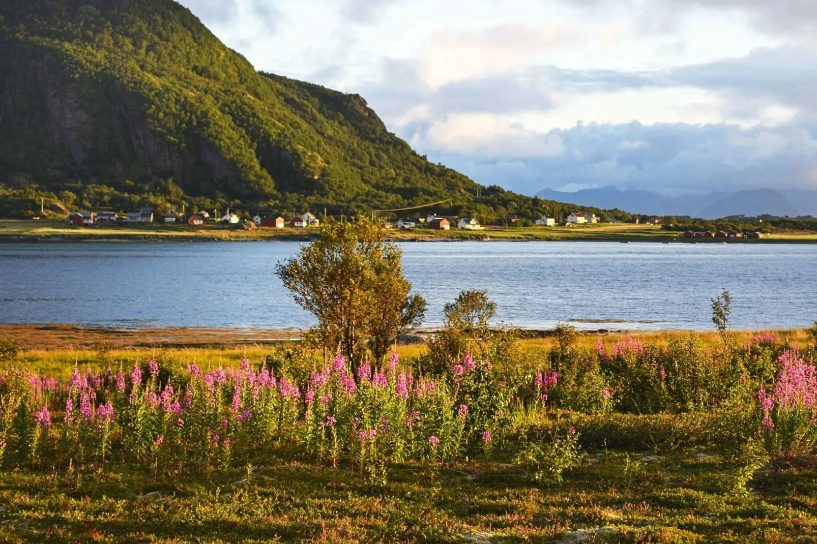 10 persoons vakantie huis in Laukvik-Niet-getagd