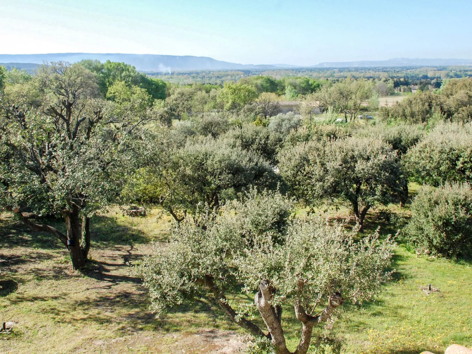 La Chênaie-Buiten