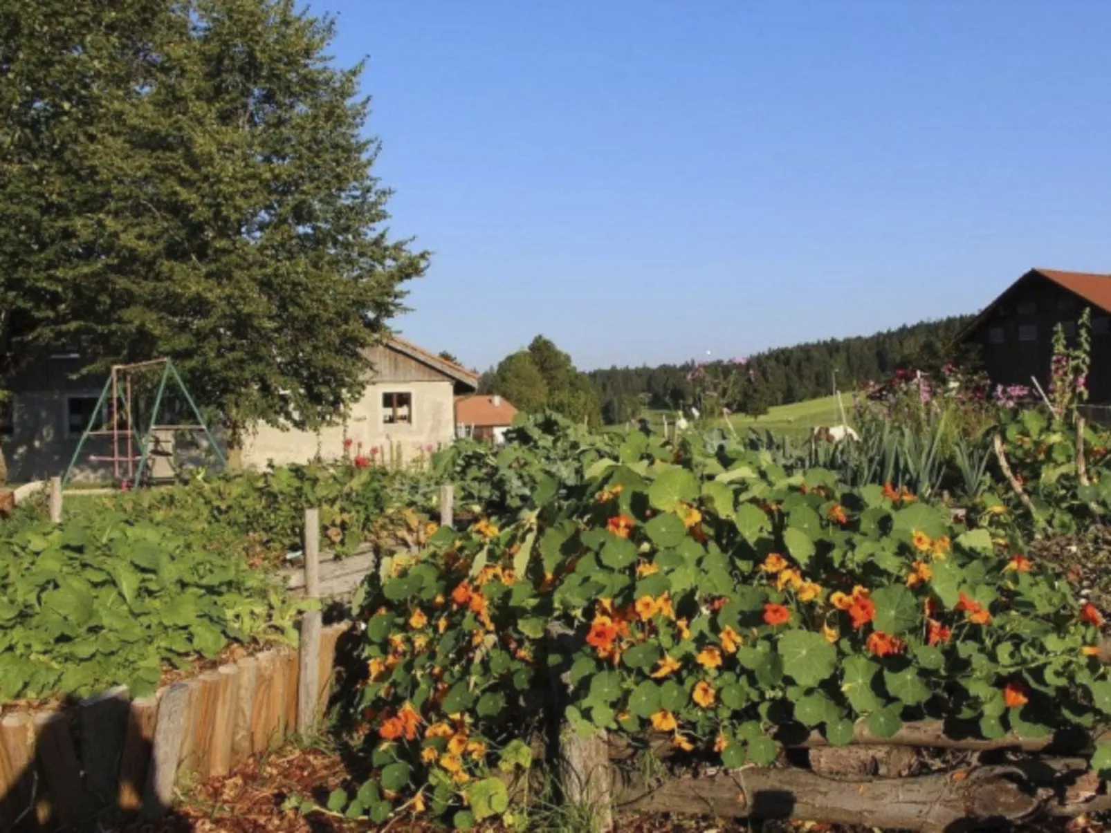 Maison de vacances - Les Hirondelles-Buiten