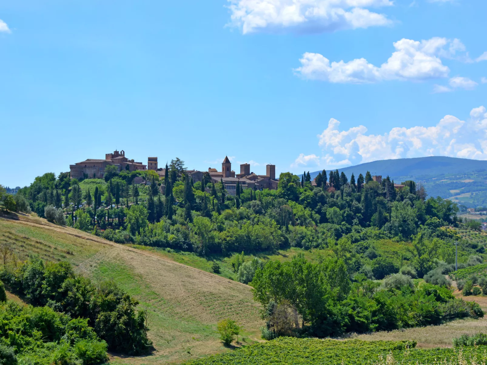 Podere La Torre-Buiten