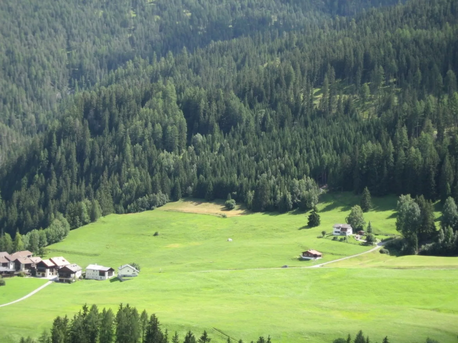 Ferienwohnung Forsthaus Falkenstein-Binnen