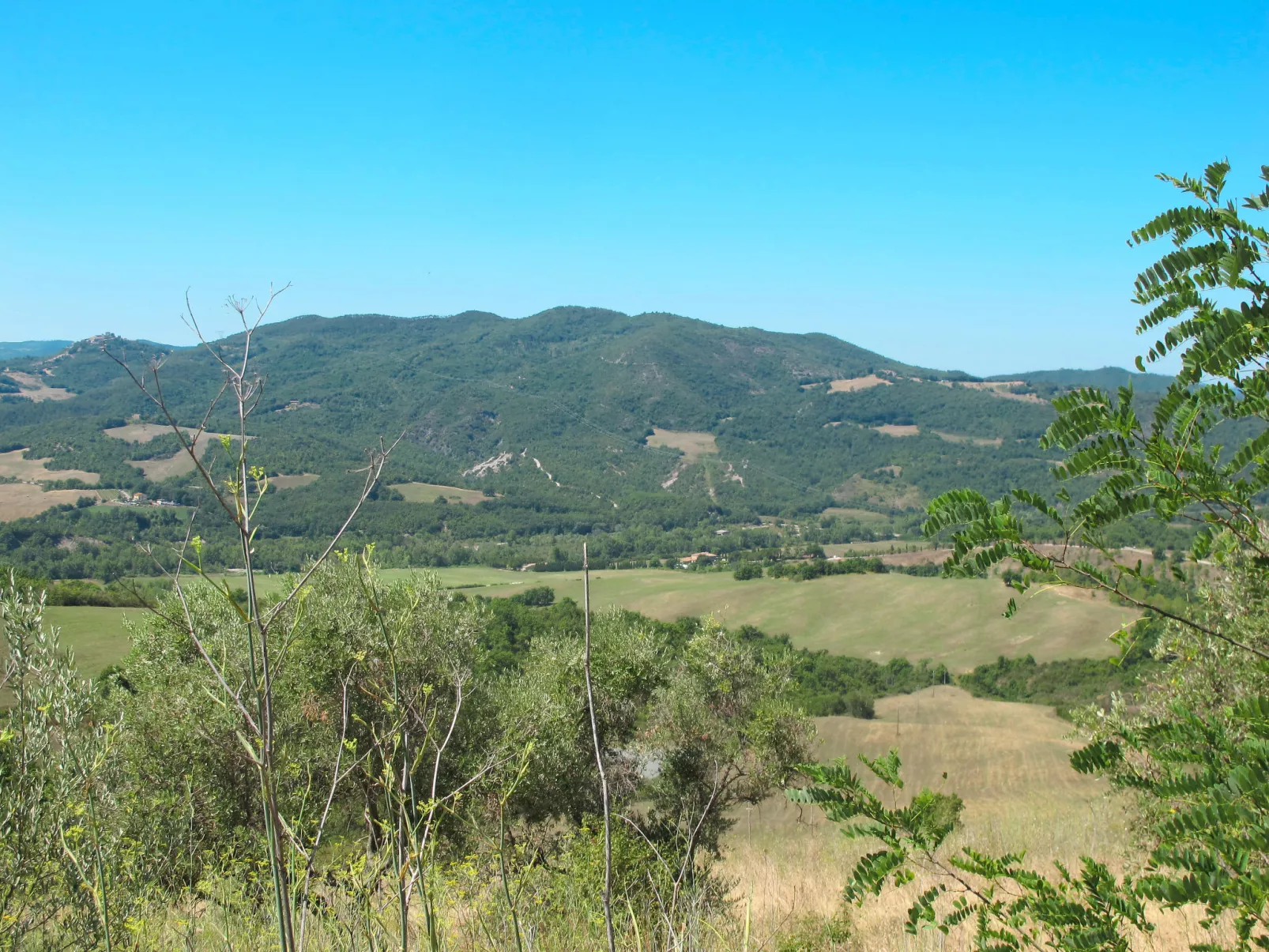 Piettorri - Ginestra-Buiten