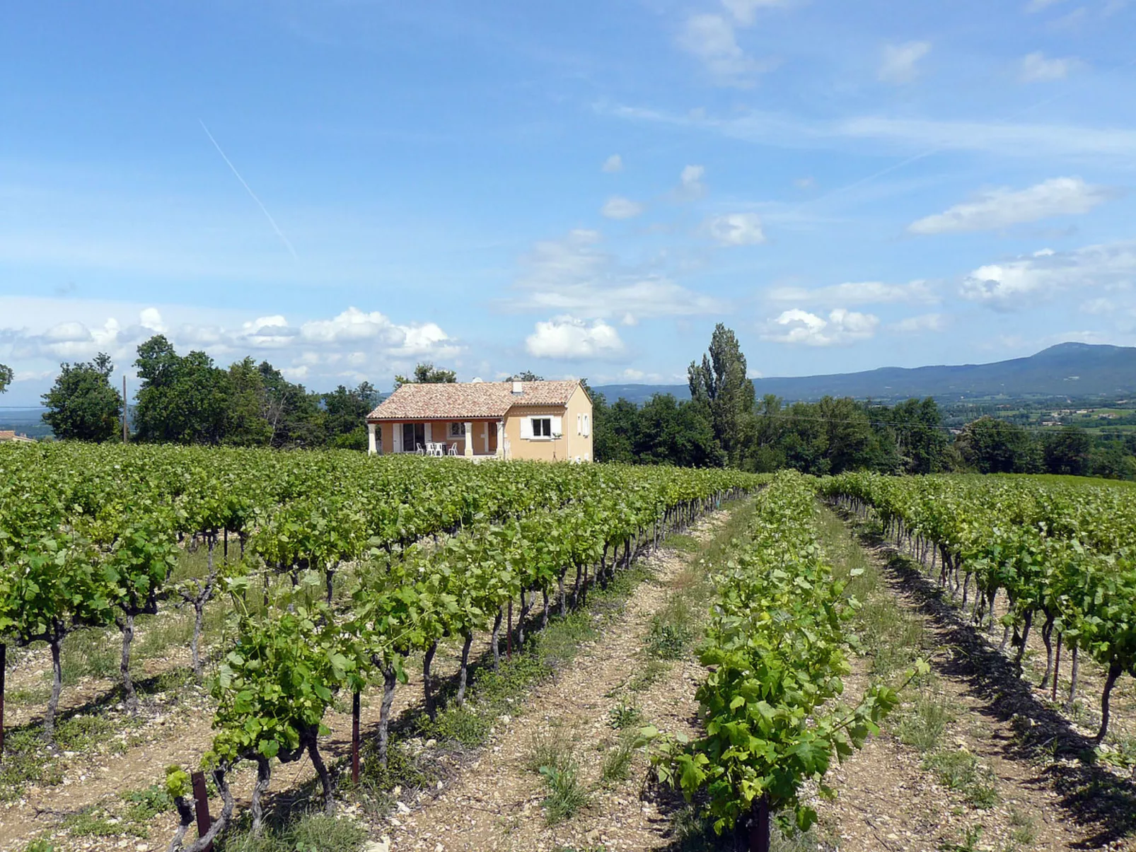 Les Lilas Blancs (VRS205)-Buiten