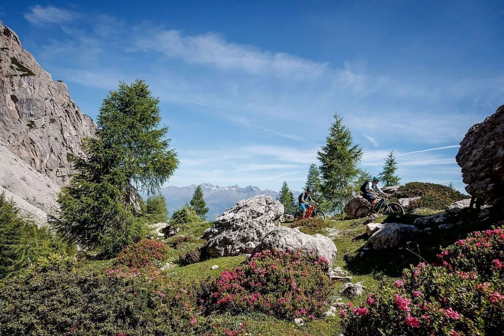 Apartment Alpine Classic-Gebieden zomer 5km