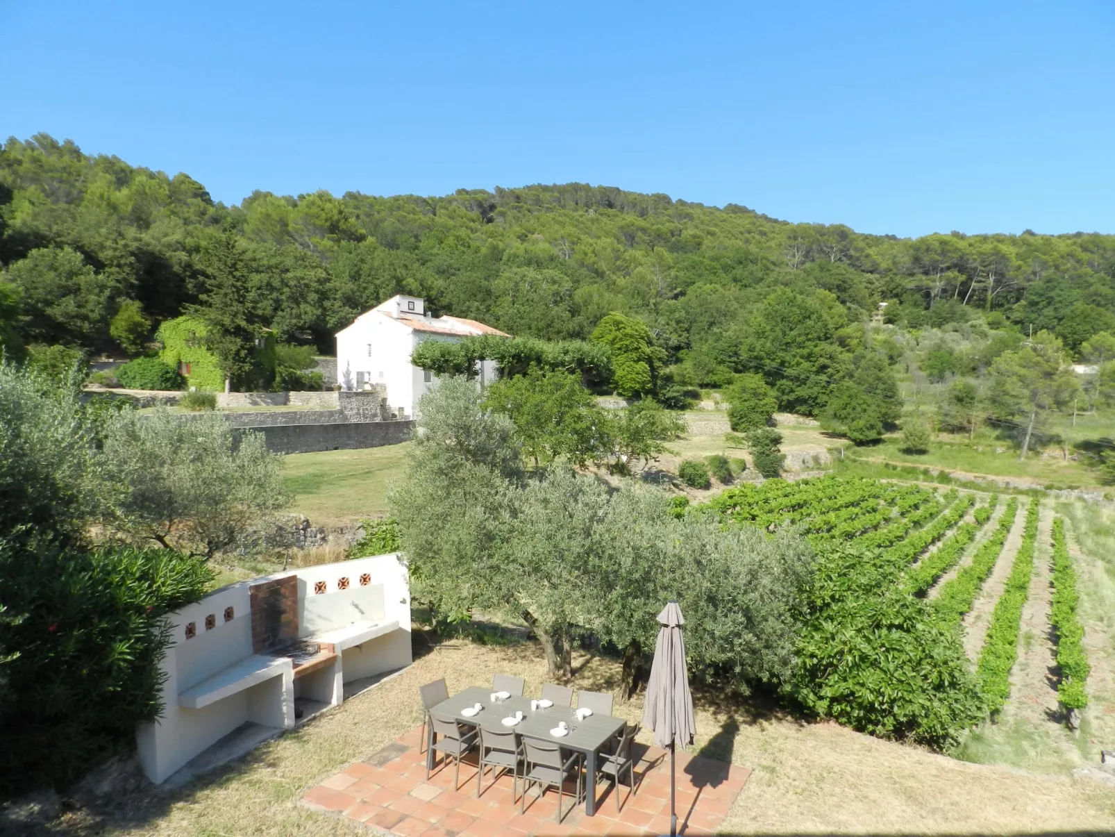 Domaine du Dragon-Binnen