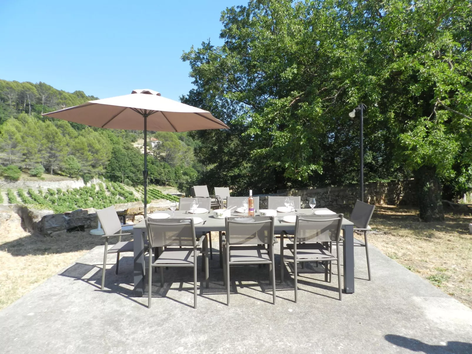 Domaine du Dragon-Binnen