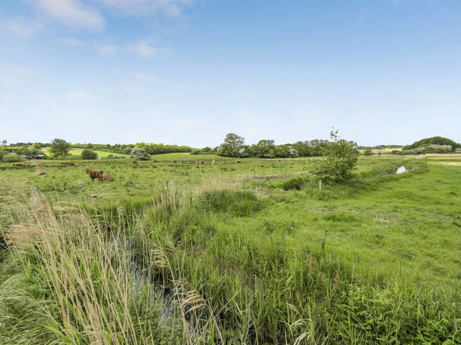 "Sigbritt" - 100m from the sea-Buiten