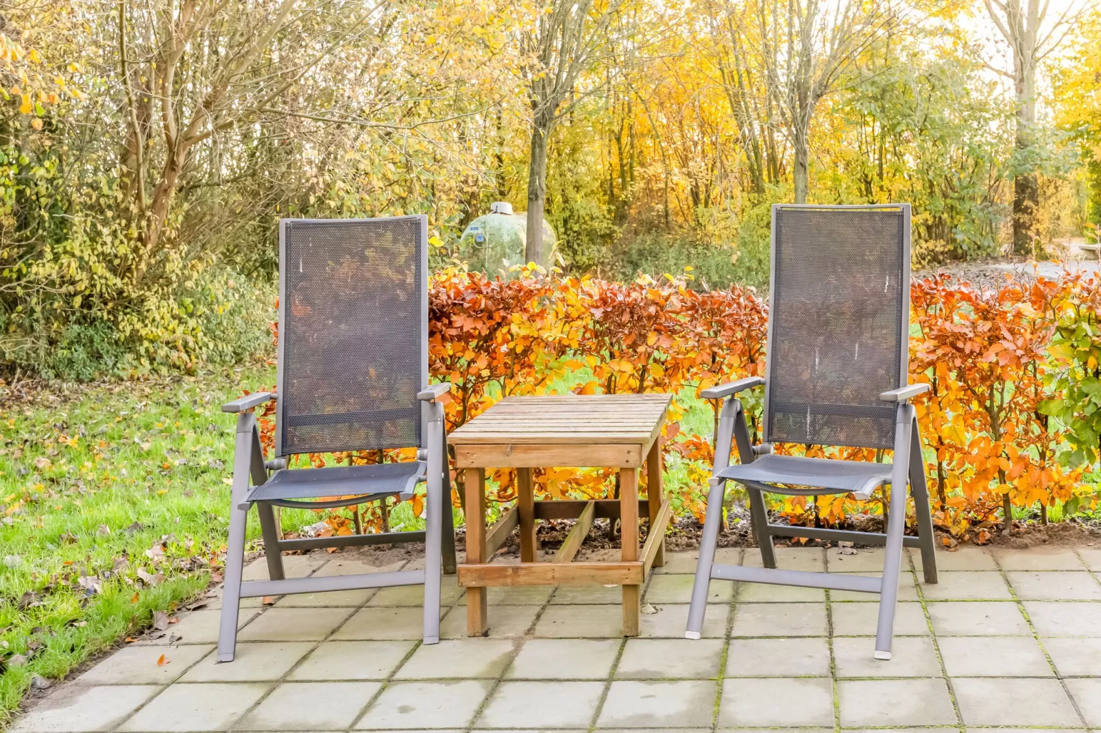 Vakantiehuisje 5 Aarde Groene Camping Lage Zwaluwe-Sfeer