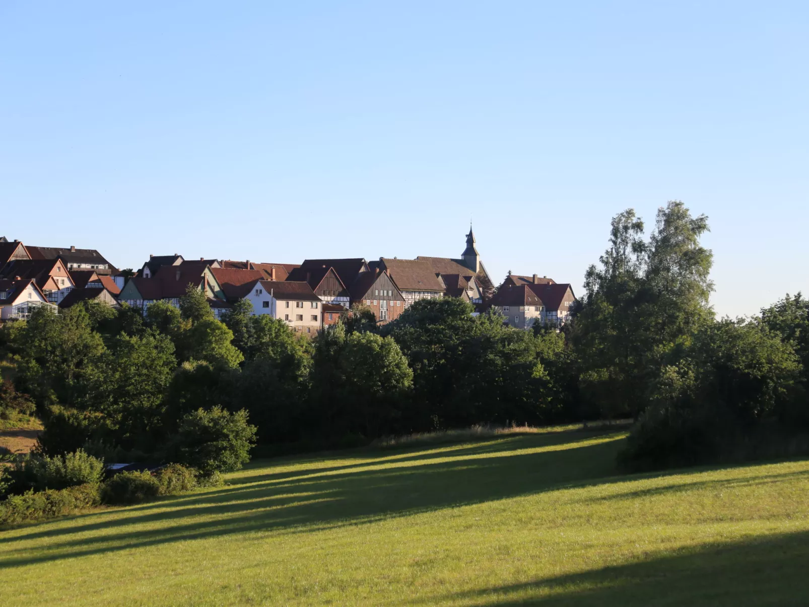 Ferienhaus Born-Omgeving