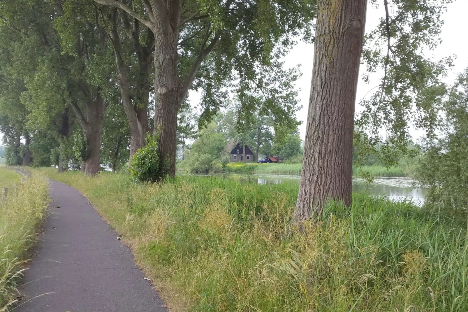 Het Biesbosch huisje