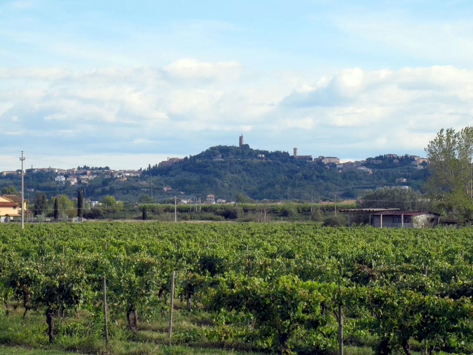 Fattoria di Scaletta-Buiten