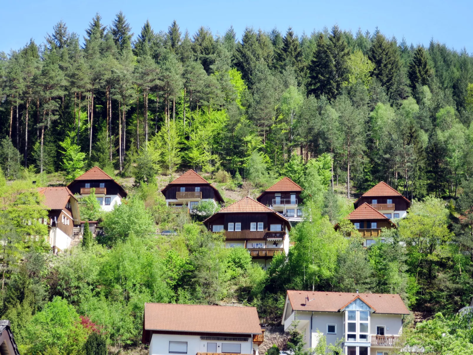 Sonnenschein-Buiten