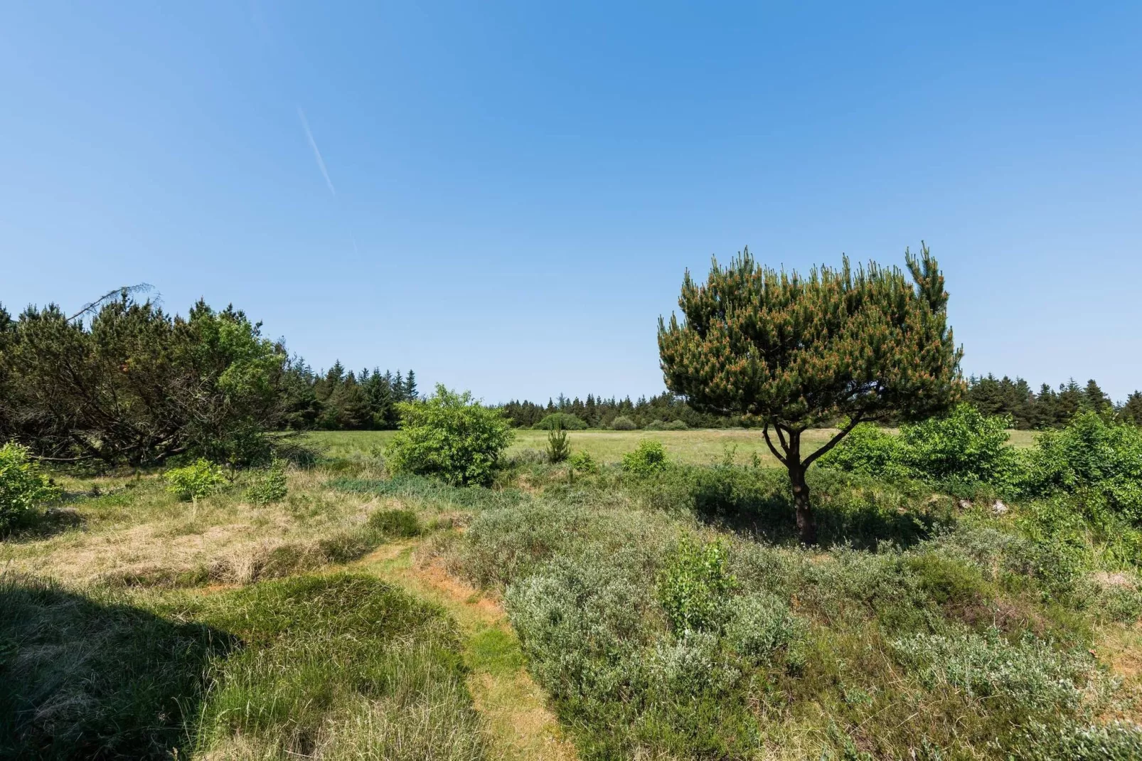 5 persoons vakantie huis in Nørre Nebel-Uitzicht