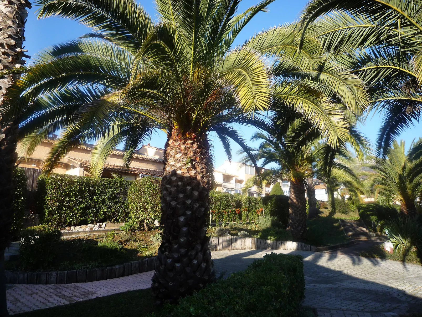 Le Jardin de Matisse-Buiten