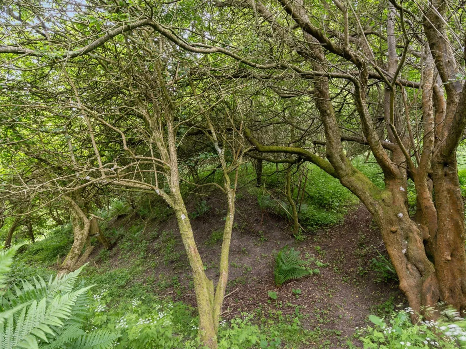 "Sorja" - 420m from the sea-Buiten