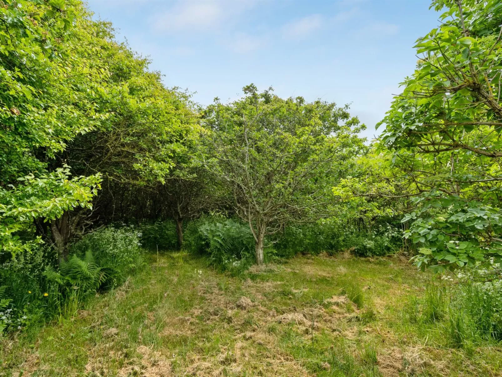 "Sorja" - 420m from the sea-Buiten