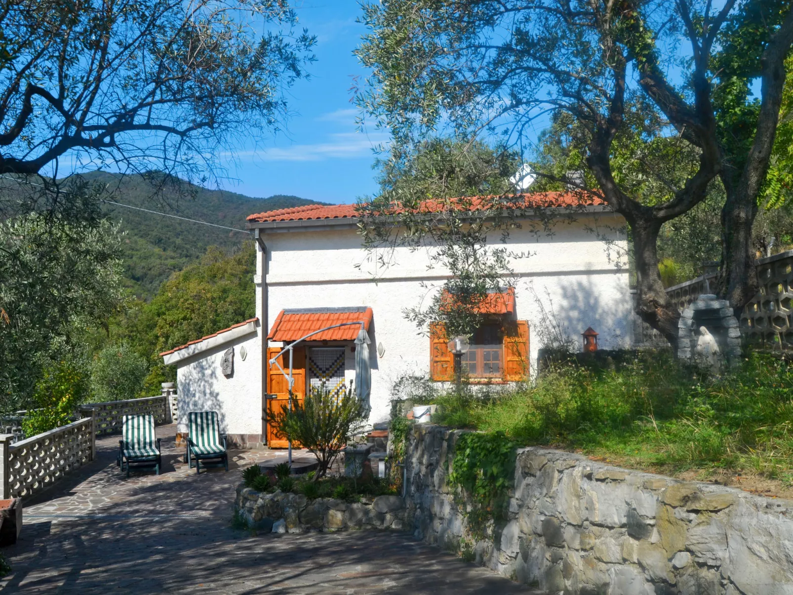 Casa Nueva