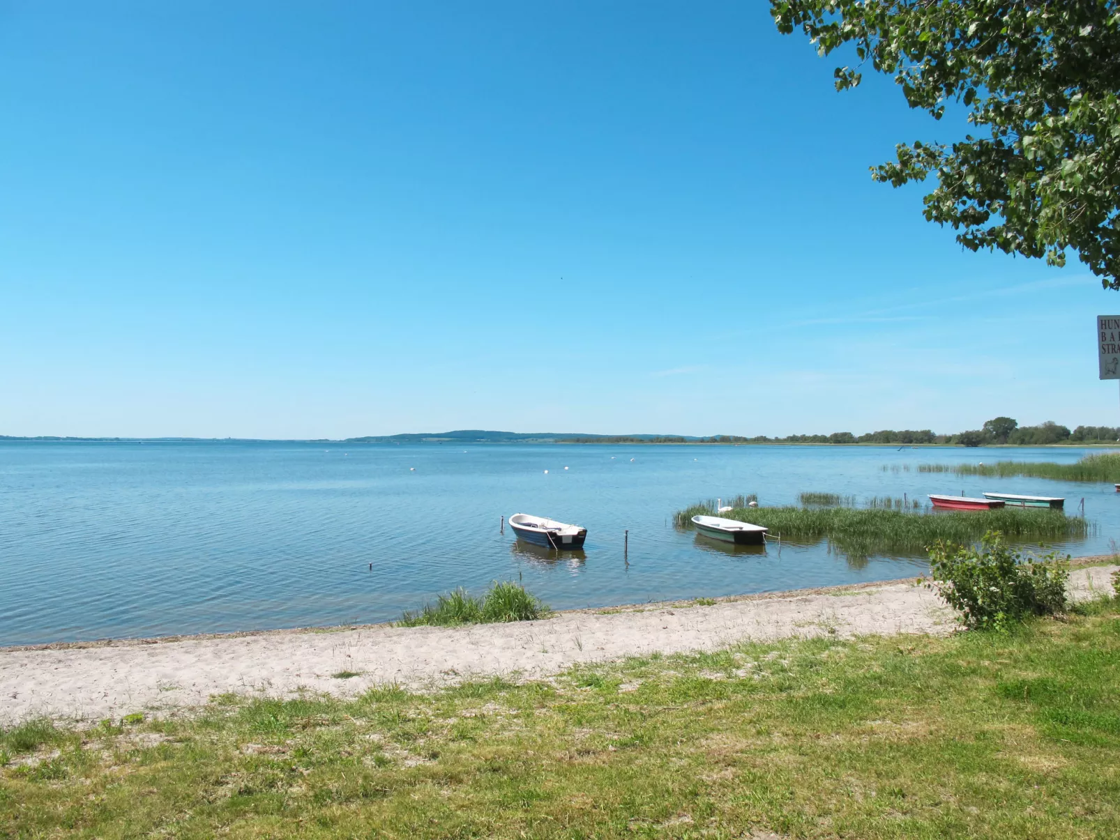 Seeblick-Omgeving