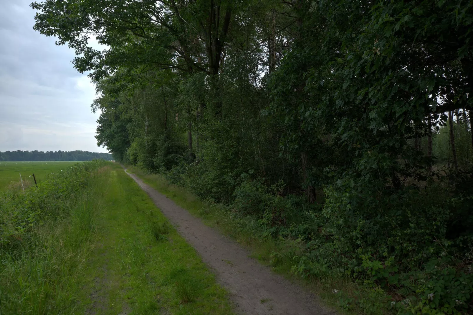 NR 2-Gebieden zomer 1km