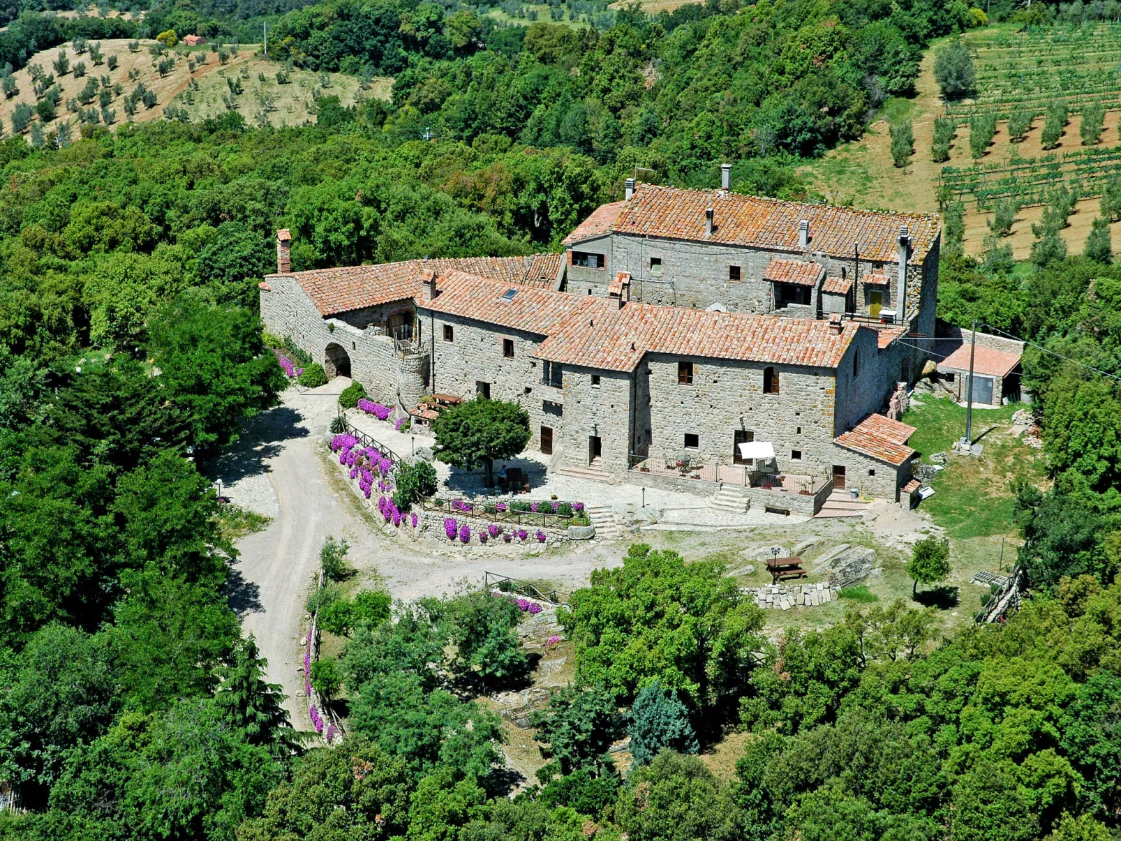 Mimosa - Borgo la Civitella