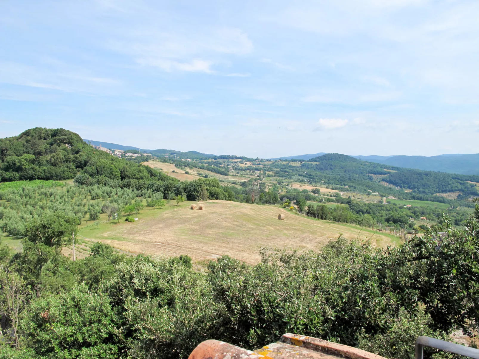 Mimosa - Borgo la Civitella-Buiten