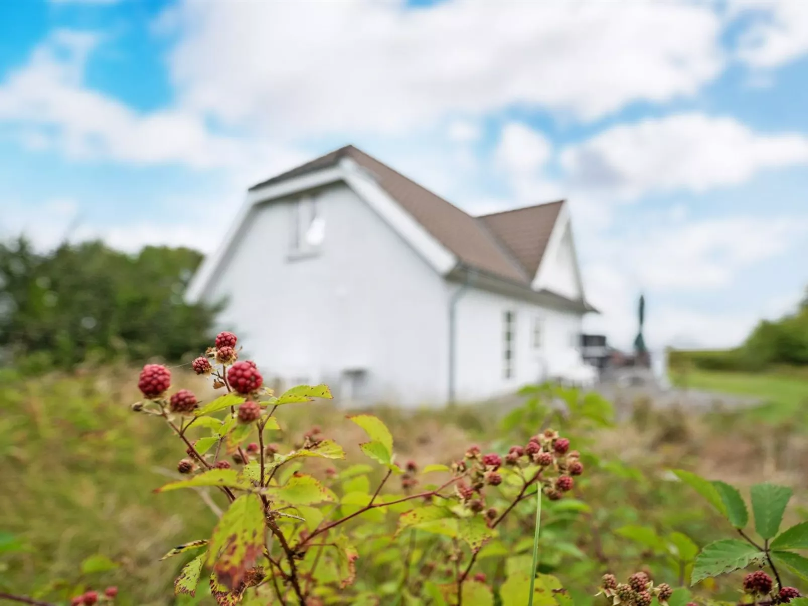 "Thorben" - 3.5km from the sea-Buiten