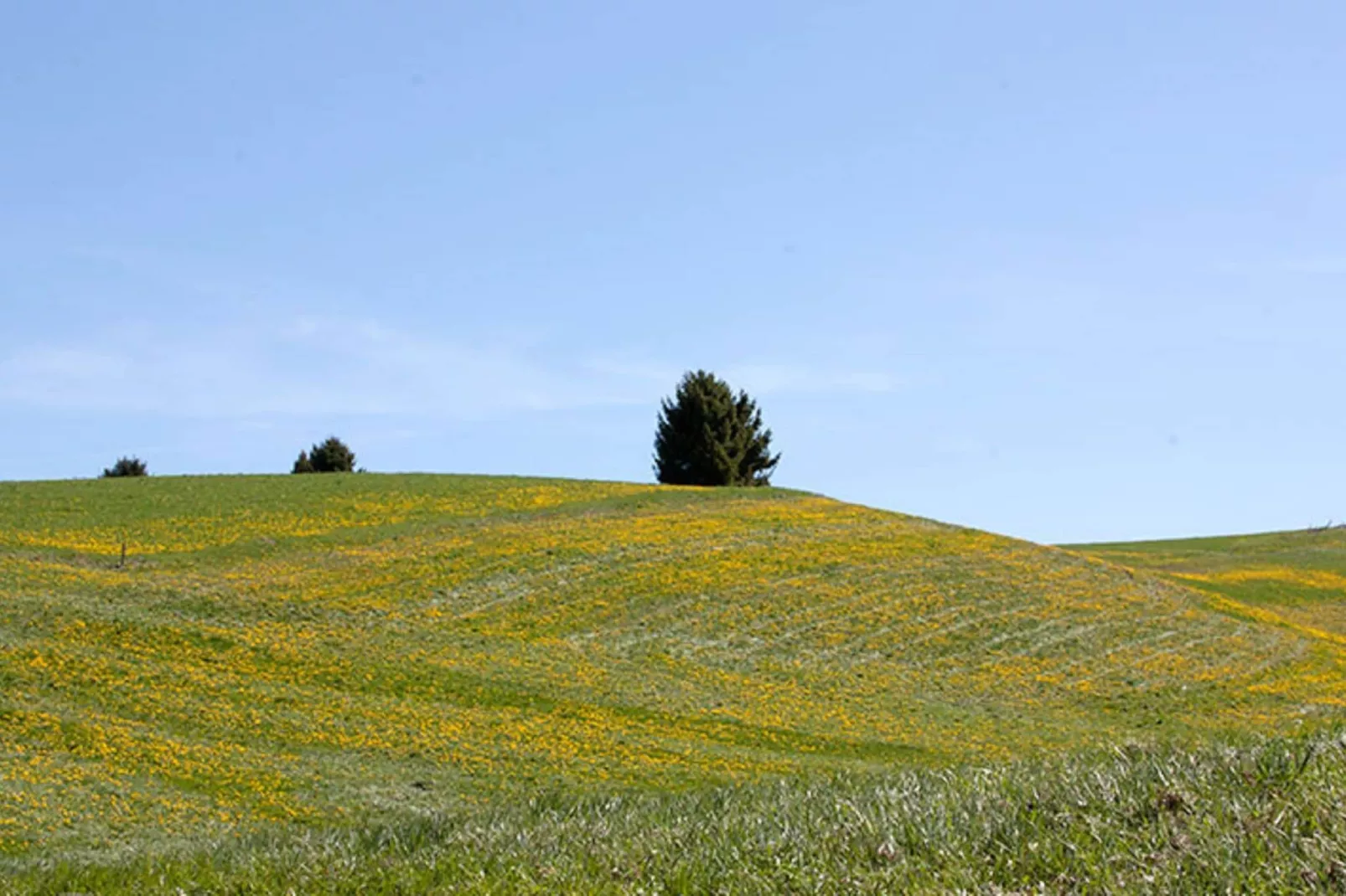 Villa Il Capriolo-Gebieden zomer 5km