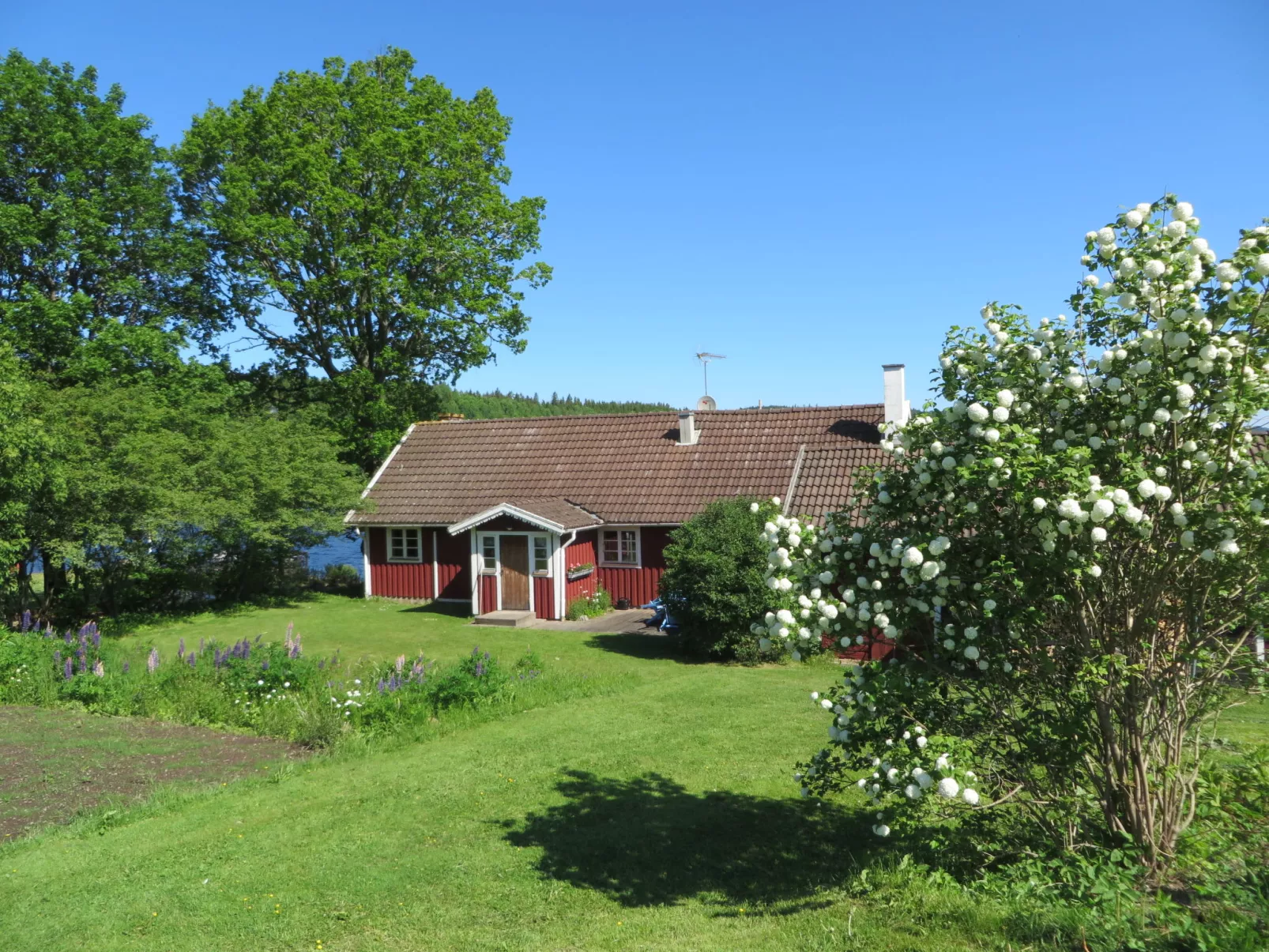 Fågelkärr Sjöstugan-Buiten