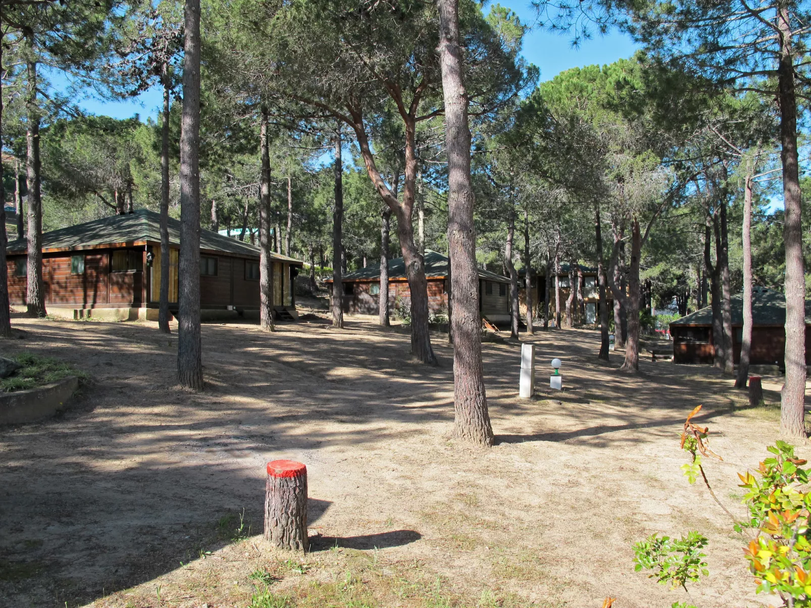Villa en bois-Buiten