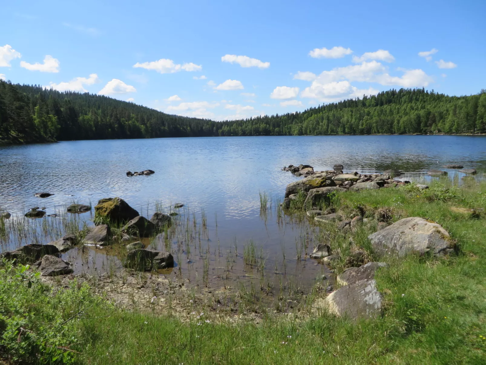 Bunn Lappland (SND116)-Buiten