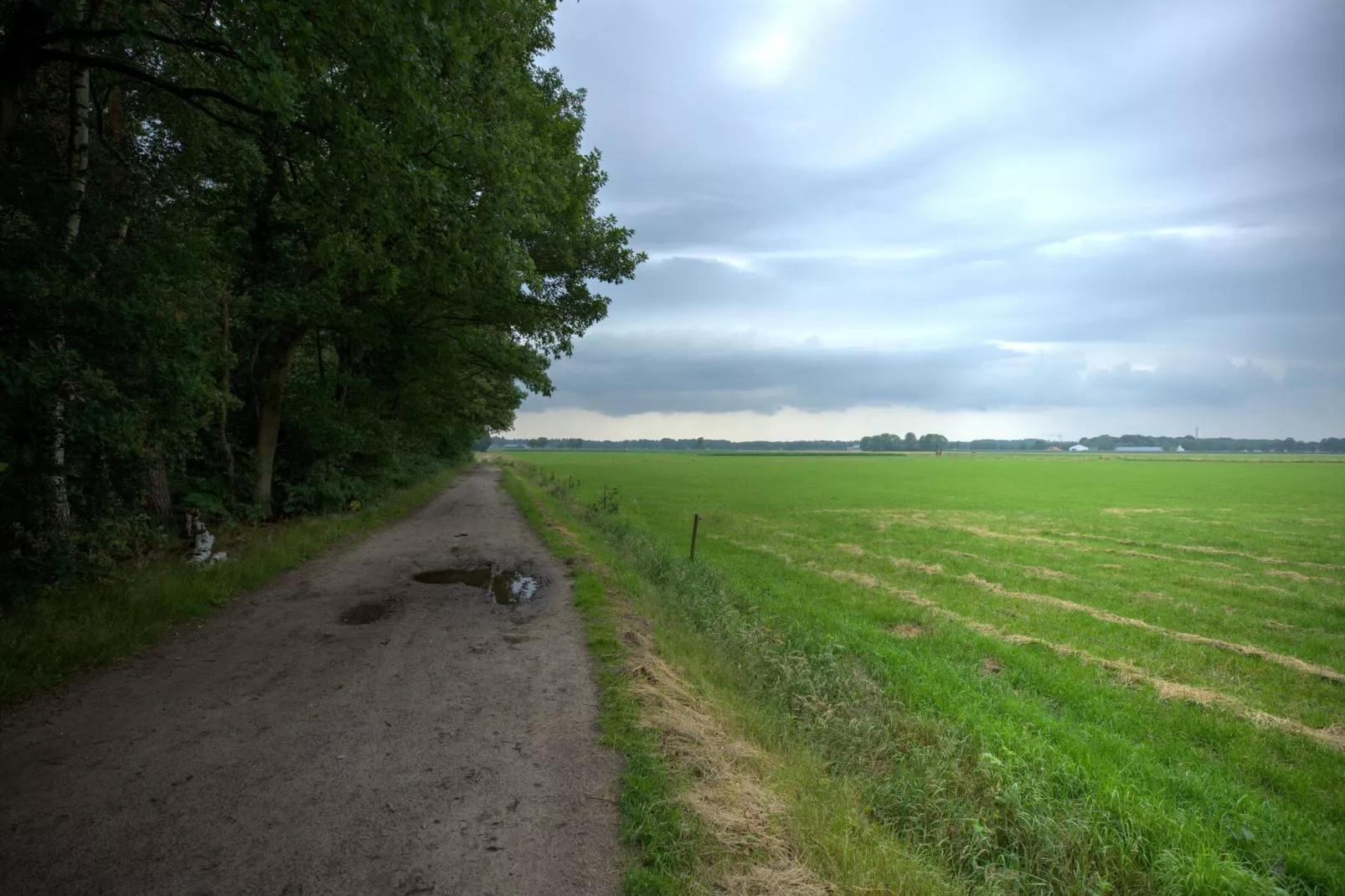 NR 4-Gebieden zomer 1km