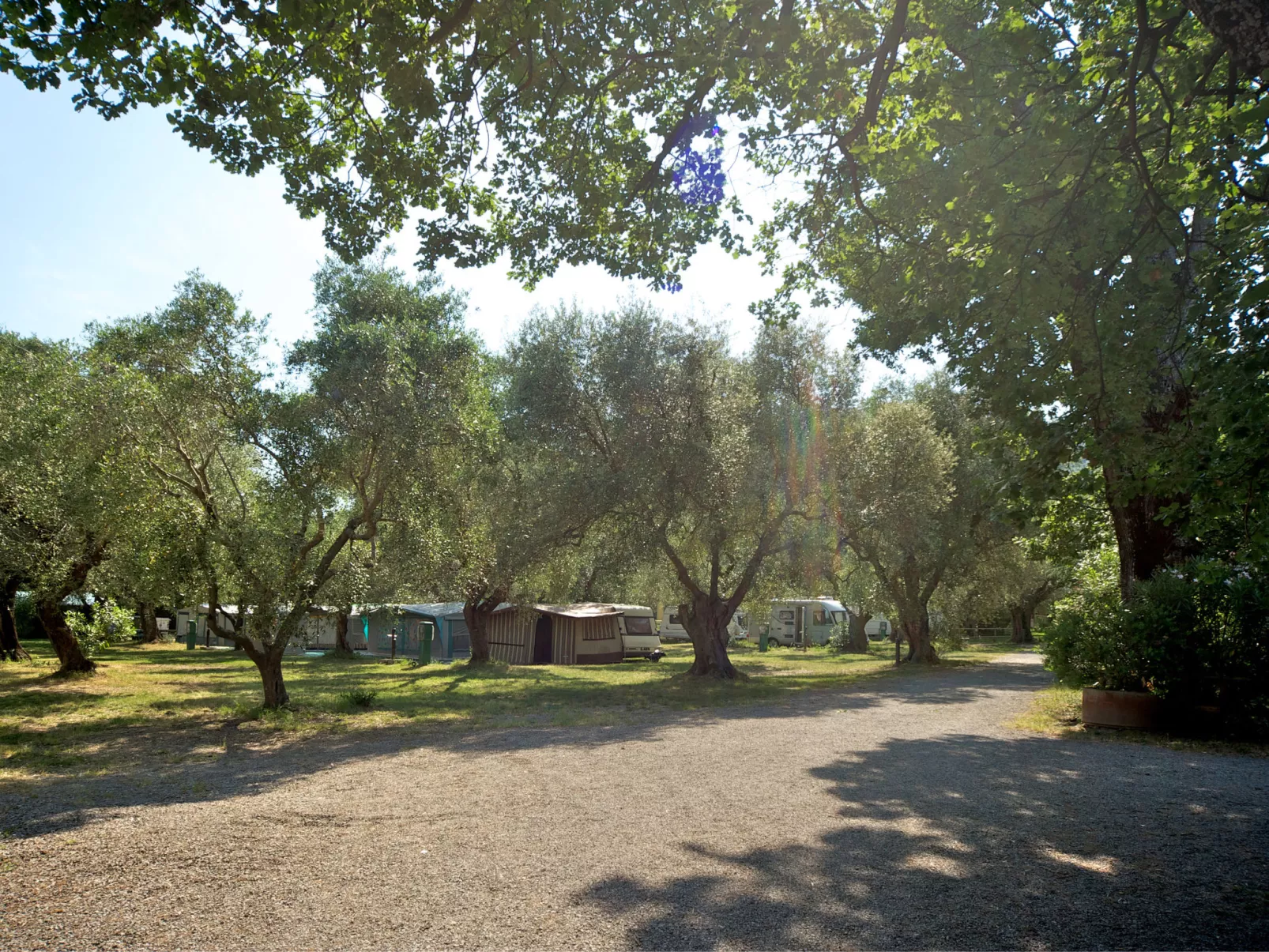 Camping Village Il Fontino-Buiten