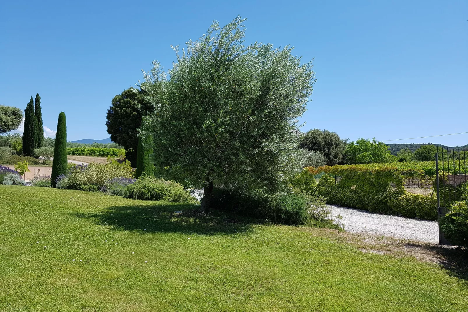 Villa Fourniguières-Tuinen zomer